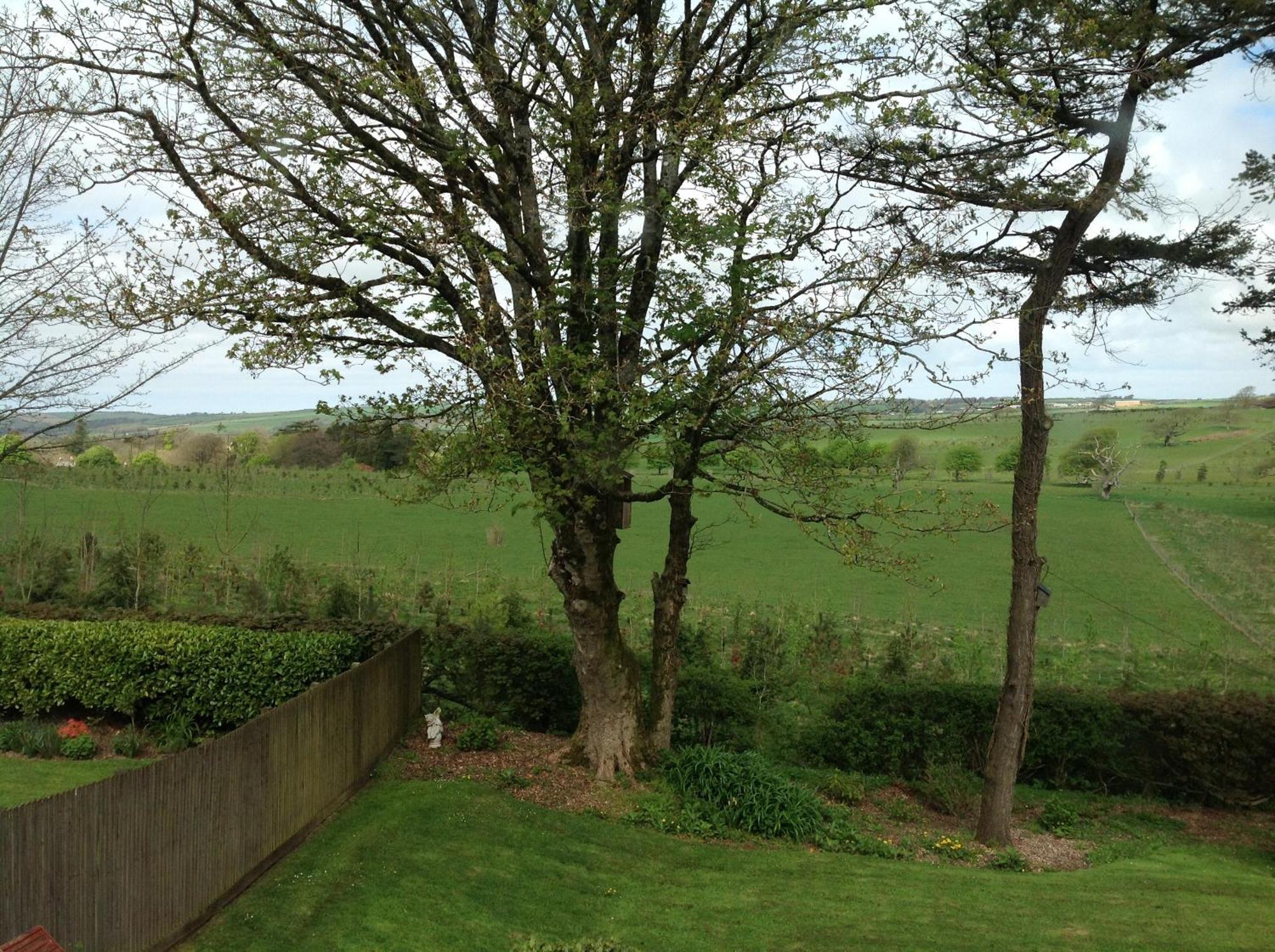 The Spinney Barnstaple Habitación foto